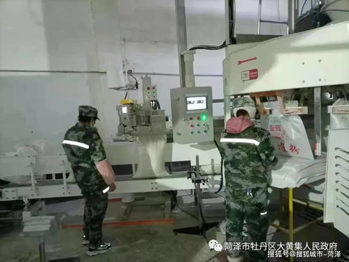 牡丹區(qū)大黃集鎮(zhèn)新年過后虎虎生威生產(chǎn)忙