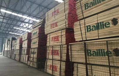 東莞金林木業(yè)