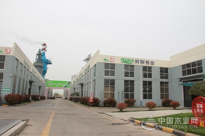 【匠心萬(wàn)里行】山東俏家:高起點(diǎn)開(kāi)局 高質(zhì)量發(fā)展