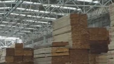 園林木業(yè)城整合中小企業(yè) 正在推動(dòng)林業(yè)國(guó)際化進(jìn)程