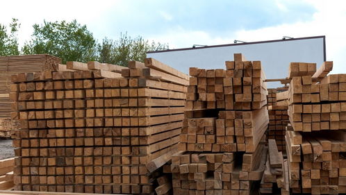 河北省木業公司優秀企業推薦