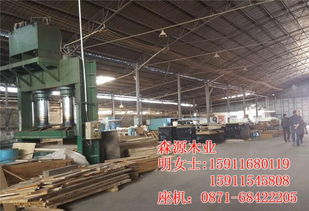 楚雄歐式實木門,鴻辰木業 在線咨詢 ,楚雄歐式實木門定做