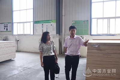 【專訪】信達木業(yè)王順兵:成功不是偶然的選擇,而是志同道合的結果