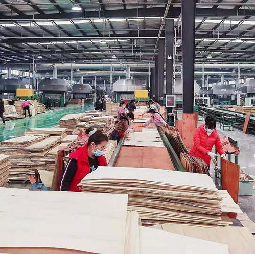 中國千洛木業(yè) 乘消費(fèi)升級東風(fēng),多品牌運(yùn)營能力出眾