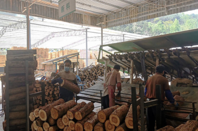 貴州興義三江口鎮(zhèn)木業(yè)產(chǎn)業(yè)振興引雁歸