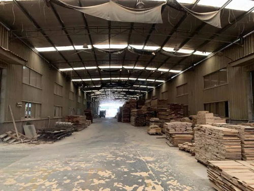 莆田又一個大佬倒下 近9000萬房產(chǎn)被拍賣