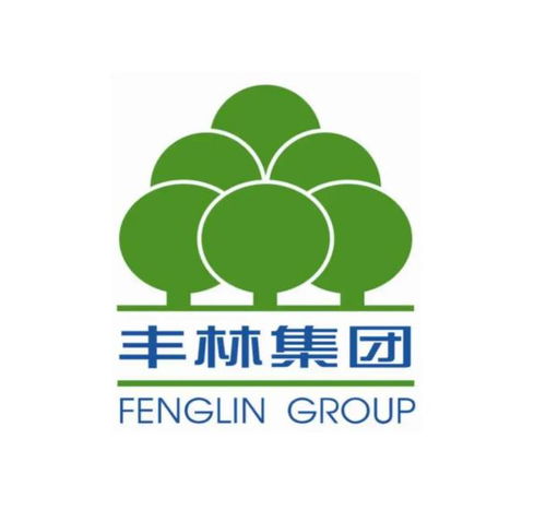 廣西豐林木業(yè)集團股份