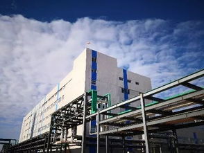 喜報 中化鋰電產業又一重大項目在浙江長興開建